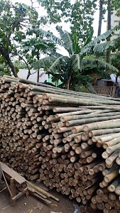 Jual bambu | PONDOK BAMBU ABAH