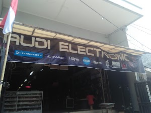 Audi Electronic