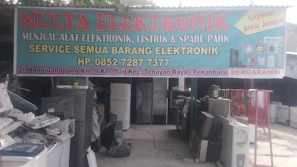 Mulya Elektronik pekanbaru